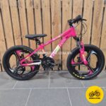 Велосипед Corso 20 Evolution 11D Pink
